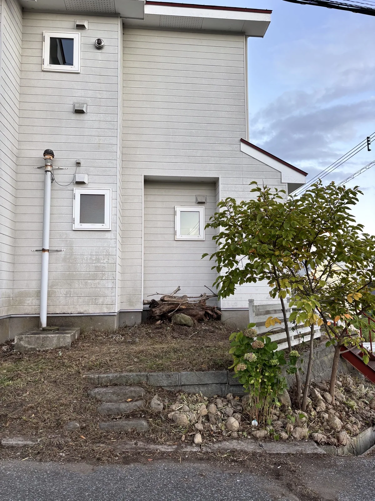 作業後。建物脇の木が剪定され、地面が見えるようになった様子